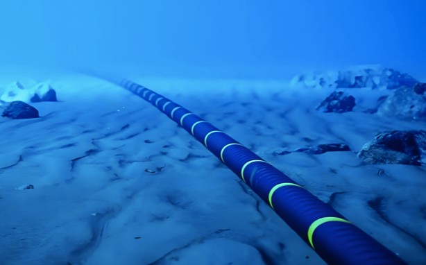 Domestic submarine cables Domestic submarine cables